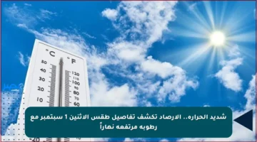 شديد الحرارة.. الأرصاد تكشف تفاصيل طقس الاثنين 1 سبتمبر مع رطوبة مرتفعة نهاراً